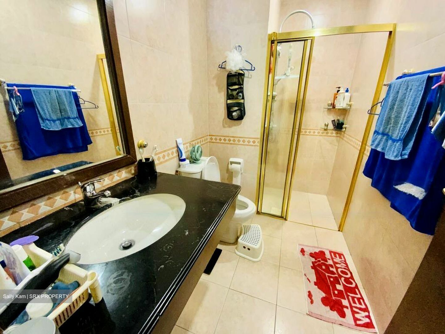 Maplewoods (D21), Condominium #463185971